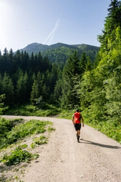 Die ersten rund 6 Kilometer verlaufen auf der Forststraße