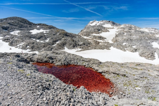 Spannendes Farbenspiel: ein durch Algen rot gefärbter kleiner See am Hochplateau