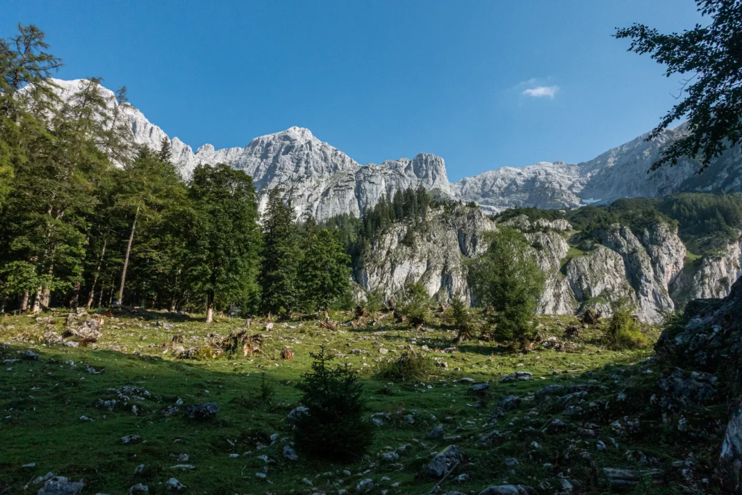 Die untere Koderalm mit dem Hochtor im Hintergrund