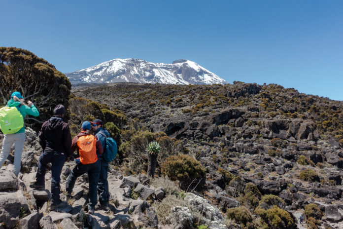 Erster Blick auf den Kilimanjaro