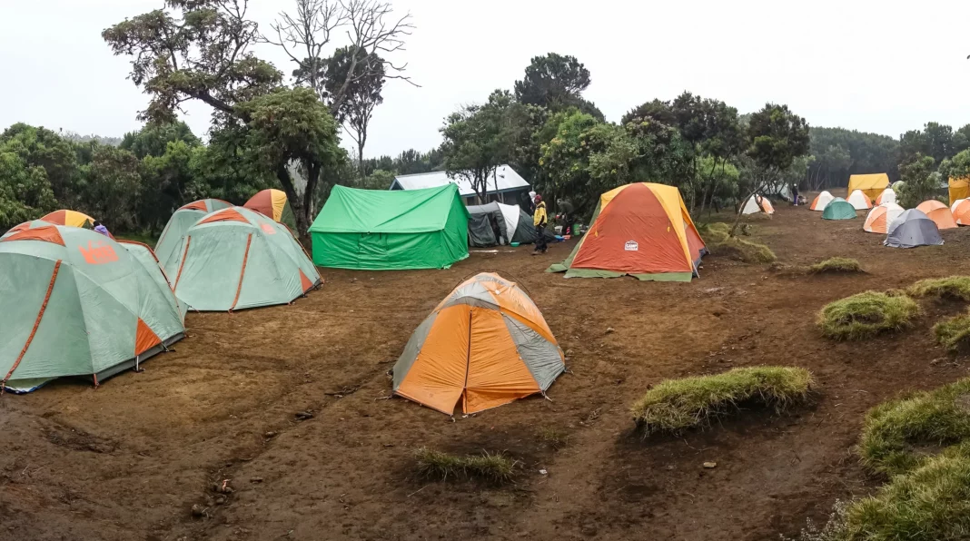 Im Machame Camp ist es meist feucht und nebelig