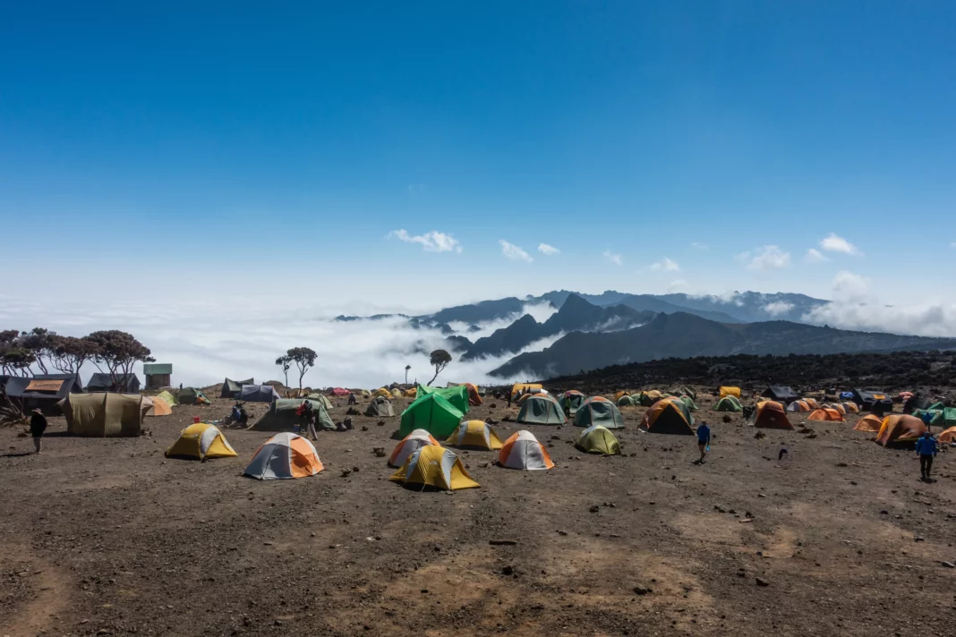 Ab dem Shira Camp waren wir endlich über der Wolkendecke