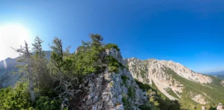 Der Novembergrat auf den Schneeberg im Sommer