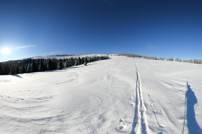 Über der Baumgrenze bei der Skitour auf den Hochwechsel