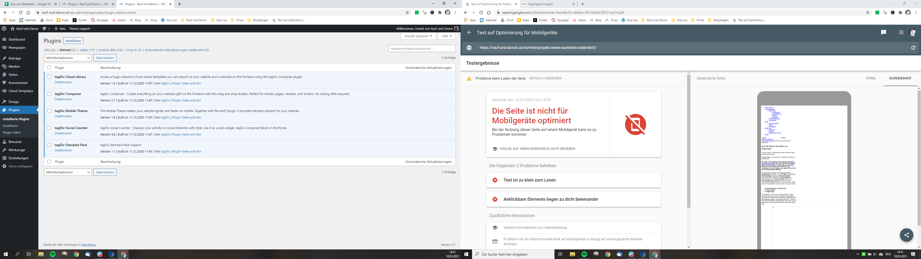 Screenshot Google Rendering