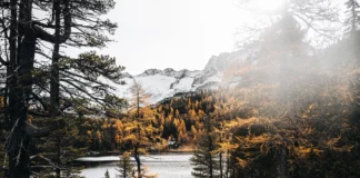 Reedsee im Gasteinertal im Herbst