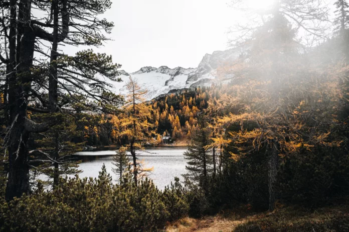 Reedsee im Gasteinertal im Herbst