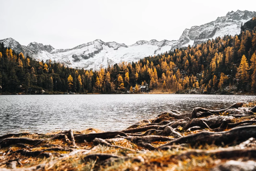 Der Reedsee im Herbst