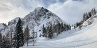 Spur bei der Skitour auf das Hahnbalzköpfl im Gasteinertal