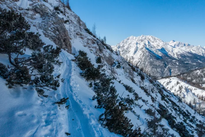 Aufstiegsspur bei der Skitour Kleine Reiben mit Watzmann im Hintergrund