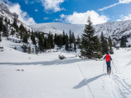 Skitourengeher am Schneeberg mit Wurzengraben im Hintergrund