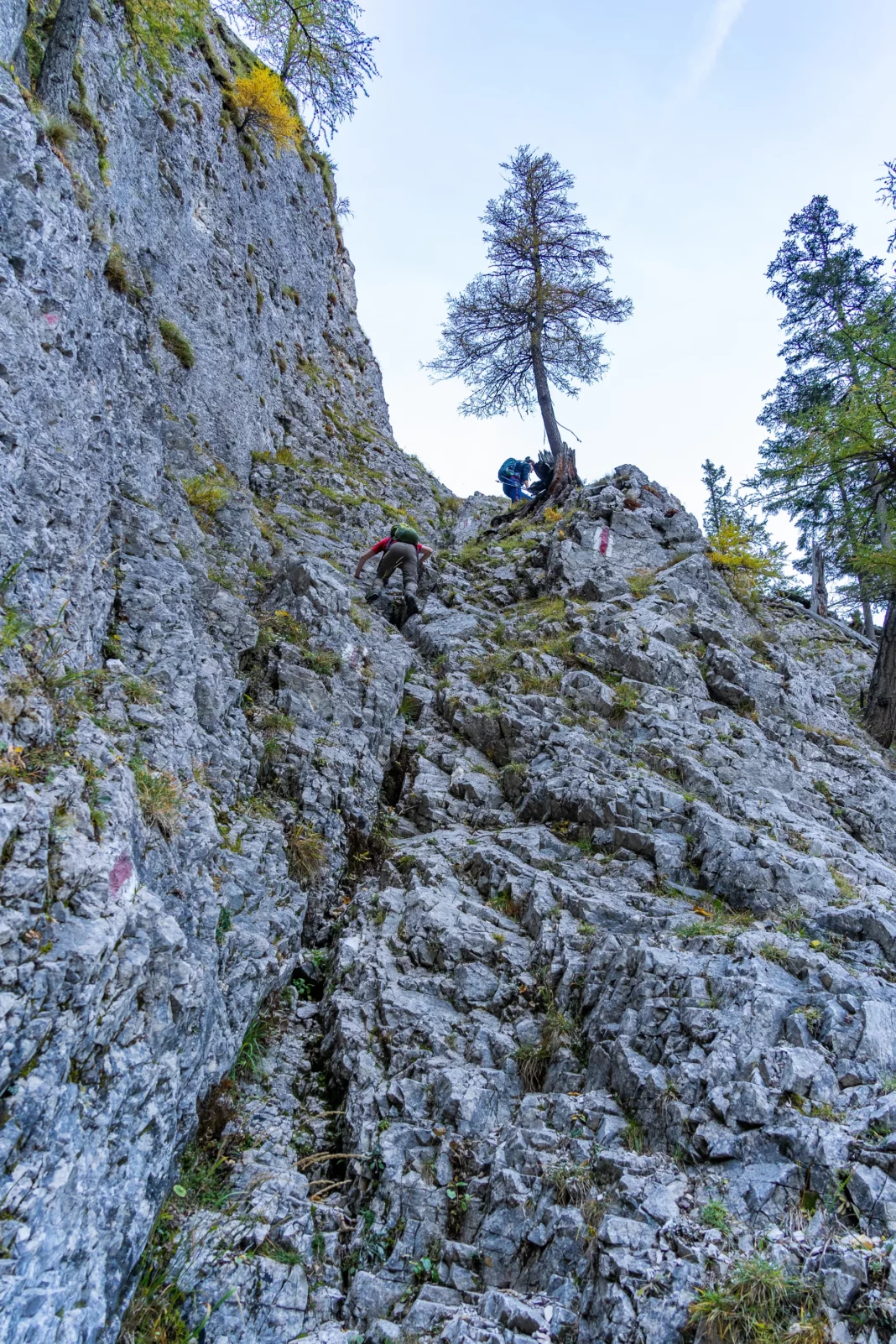 Die erste Kletterstelle auf der Wildfährte