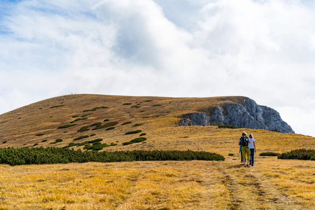 Am Weg auf die Heukuppe