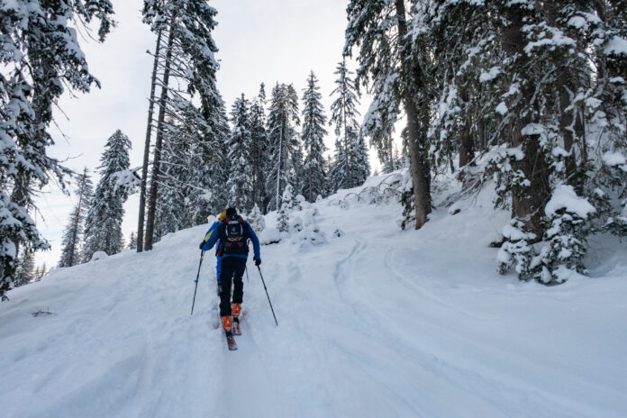 Skitourengeher im Wald bei einer Tour auf den Hohen Bösring