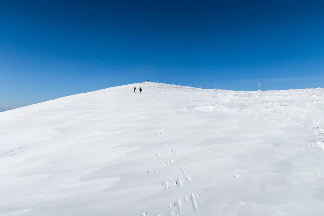 Einsam auf der Heukuppe