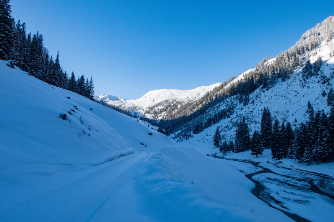 Im Reitalmgraben öffnet sich langsam aber doch der Blick Richtung Schönweidkogel