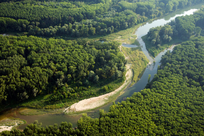 Luftaufnahme von den Donauauen