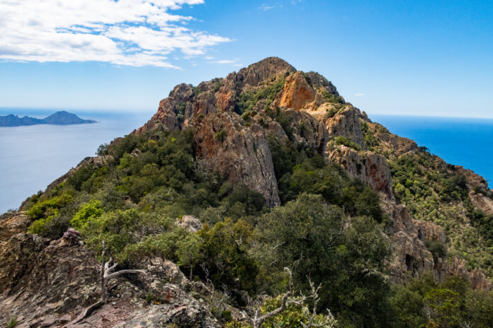 Blick von der Punta Castellacciu zum Gipfel des Monte Senino