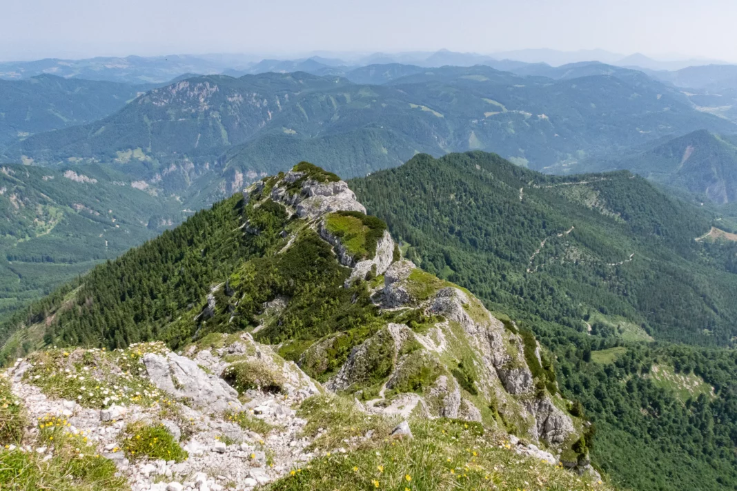 Blick zurück auf den unteren Teil des Rauhen Kamms