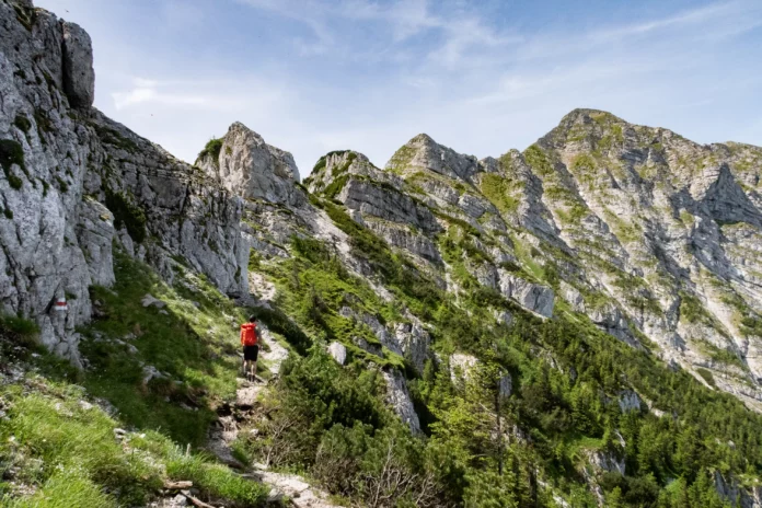 Wanderer am Rauhen Kamm auf den Ötscher