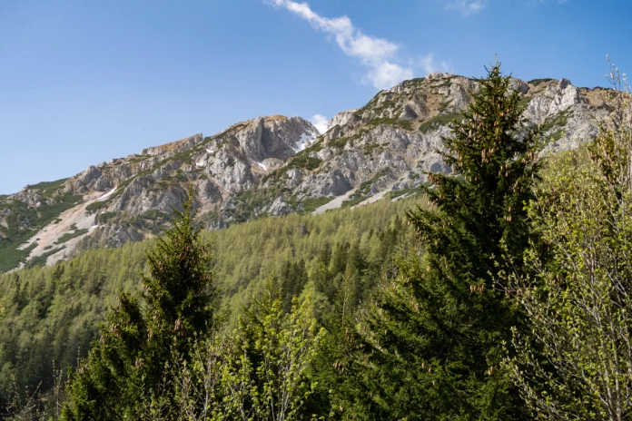 Blick von der Edelweißhütte in die felsigen Ostwände des Schneebergs