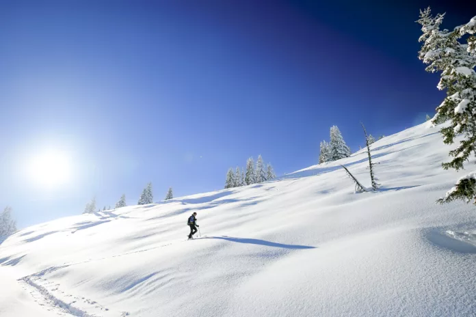 Skitourengeher am Pleschnitzzinken