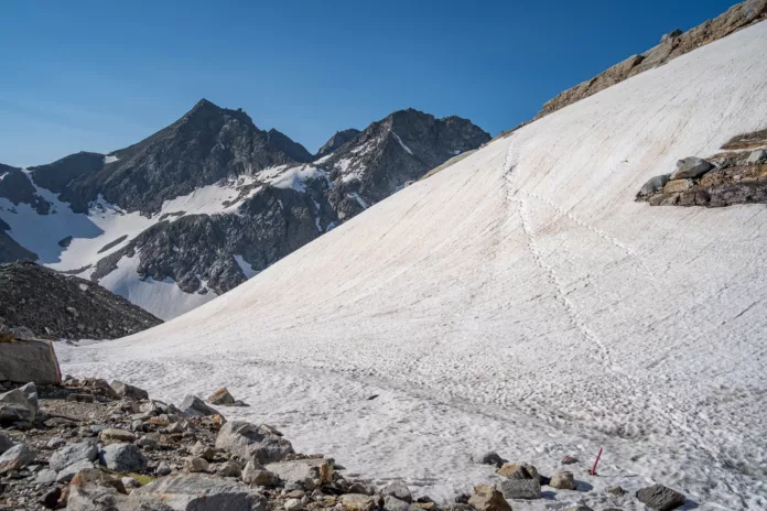 Schneefeld am Hohen Sonnblick