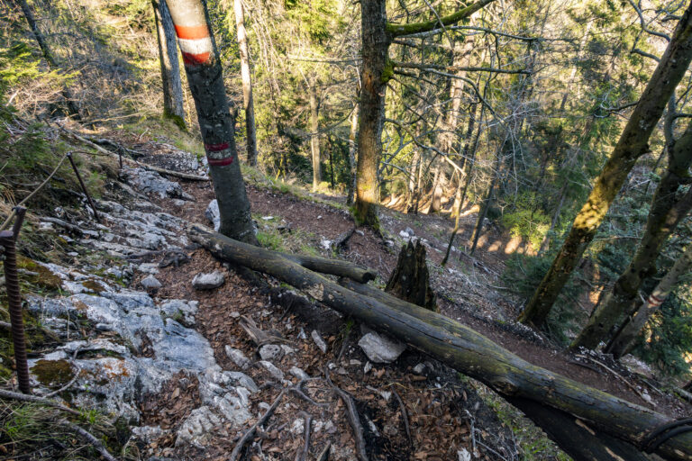 Der Abstieg verläuft stellenweise über einen steilen Waldweg, der immer wieder mit Seilen versichert ist