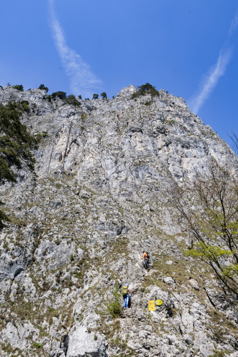 Blick vom Gamserl Garten auf den weiteren Verlauf des Drachenwand Klettersteigs