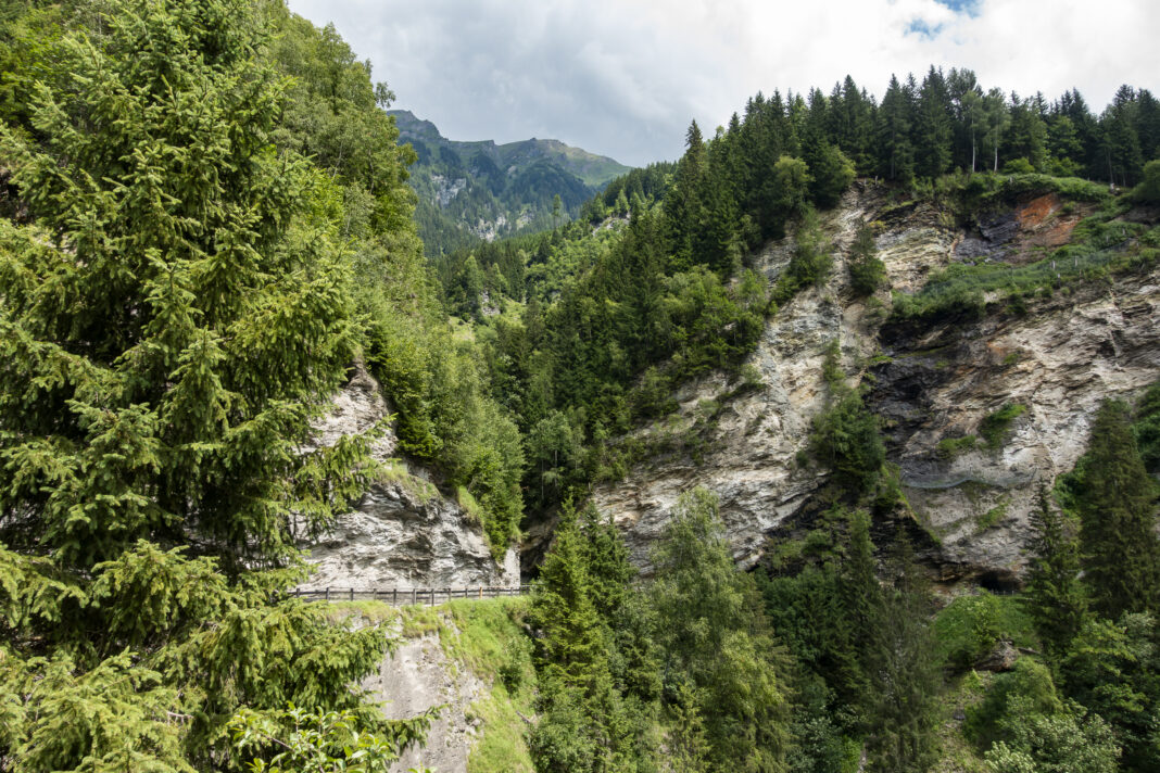 Blick in die Gadaunerer Schlucht