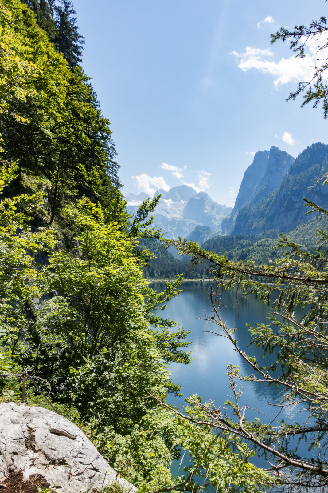 Blick vom Adlerhorst zum Dachstein