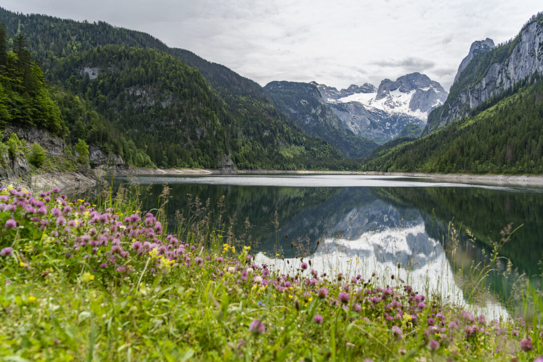 Ein letzter Blick zurück zum Dachstein