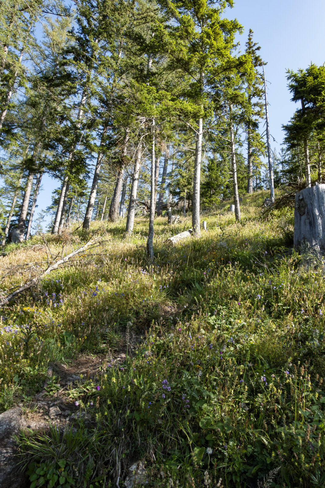 Der Weg wird steiler