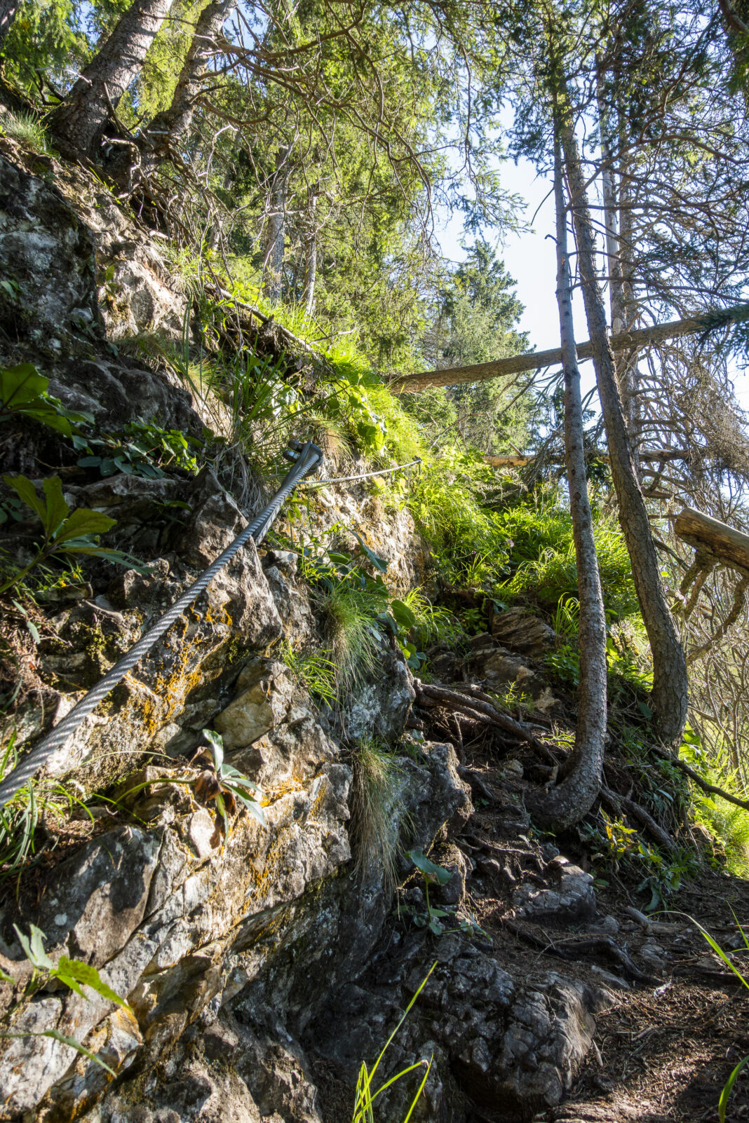 Die ersten seilversicherten Meter am Grete-Klinger-Steig