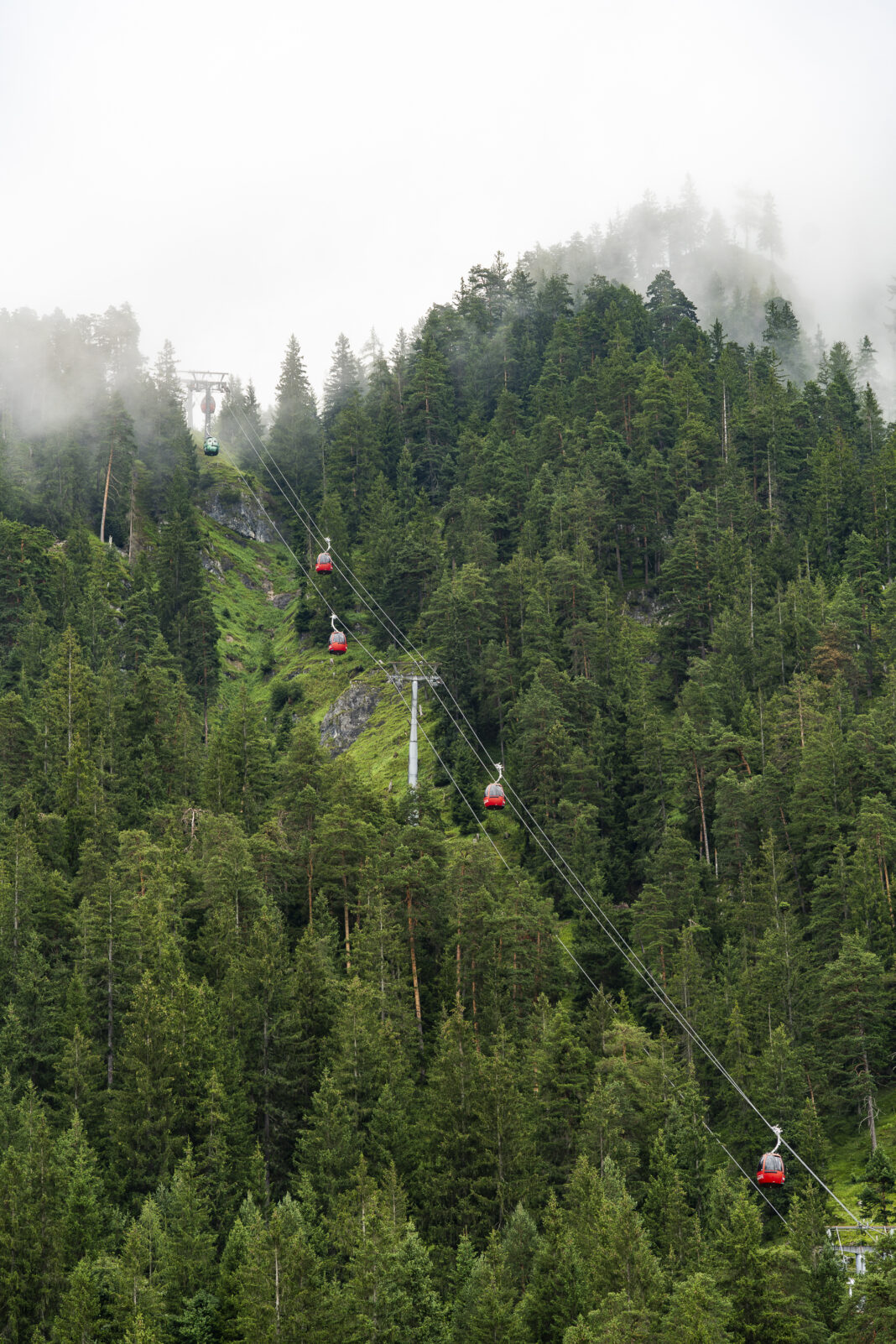 Mit der Gondelbahn geht es in den Triassic Park