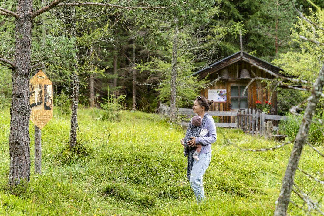 Unterwegs am Bienenlehrpfad