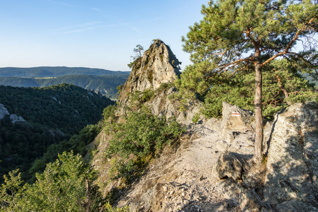 Blick zurück auf den Vogelbergsteig