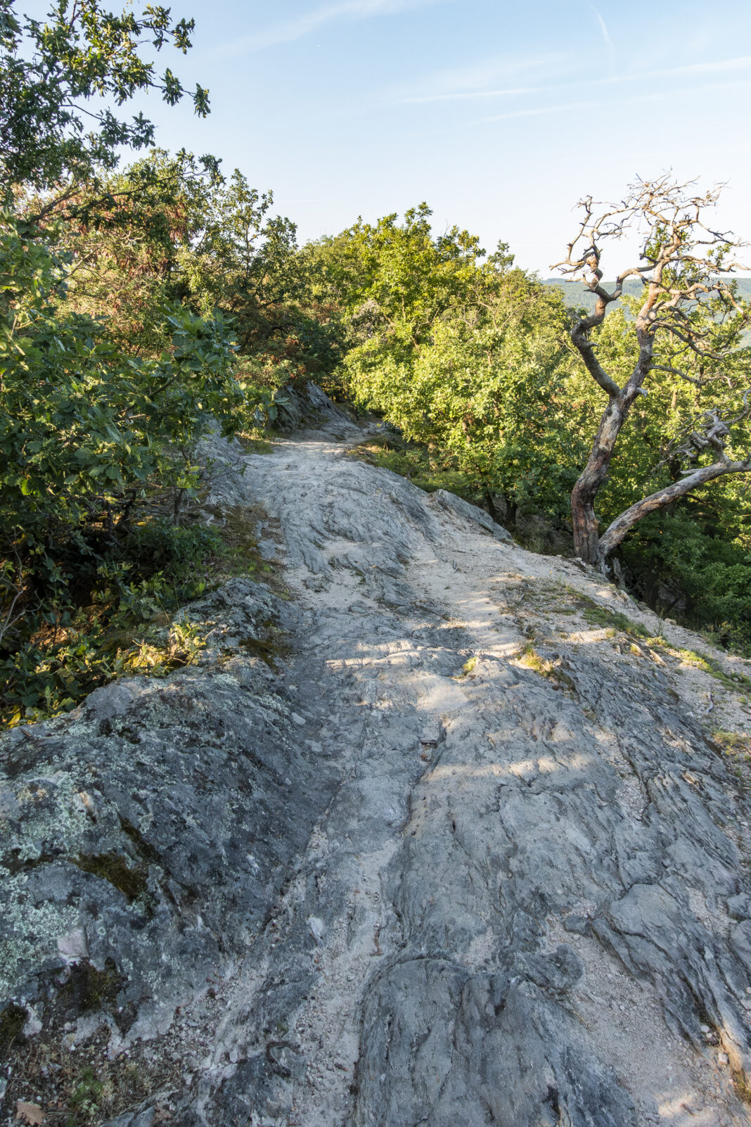 Am Abstieg Richtung Dürnstein