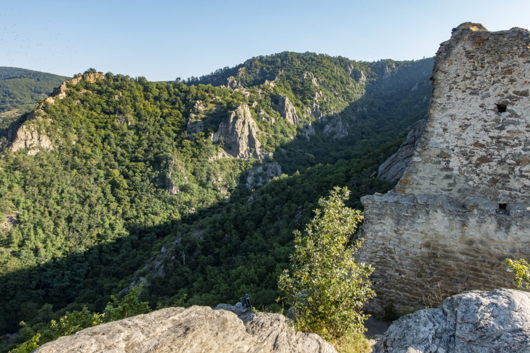 Blick von der Ruine auf die andere Talseite mit dem Vogelbergsteig