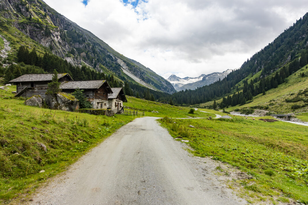 Die breite Forststraße durch das Obersulzbachtal