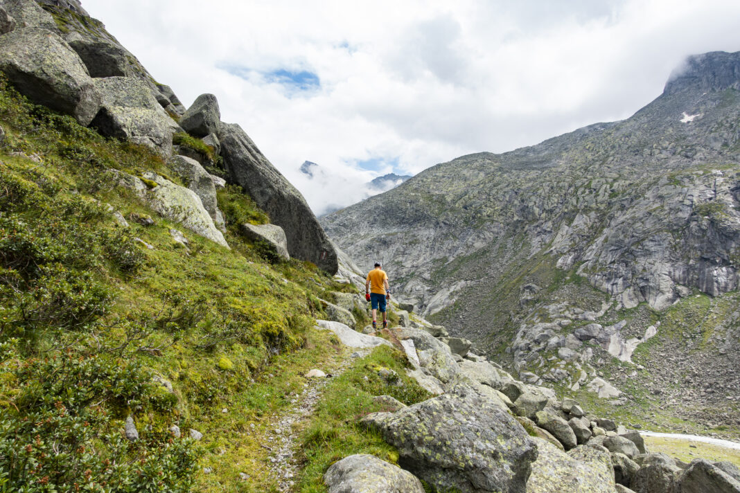 Am Sommerweg zur Kürsingerhütte