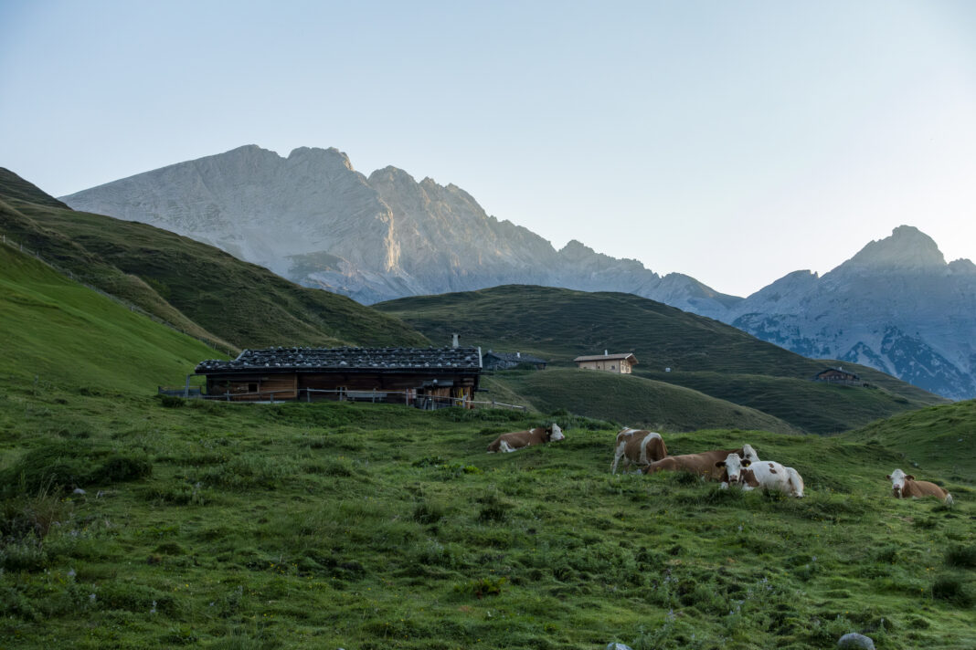 Das Kammerlinghorn im Morgenlicht