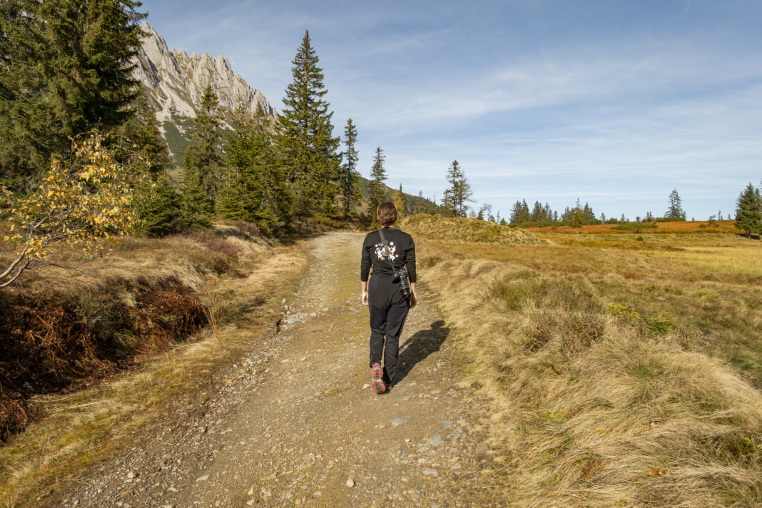 Bald lässt man den Wald hinter sich