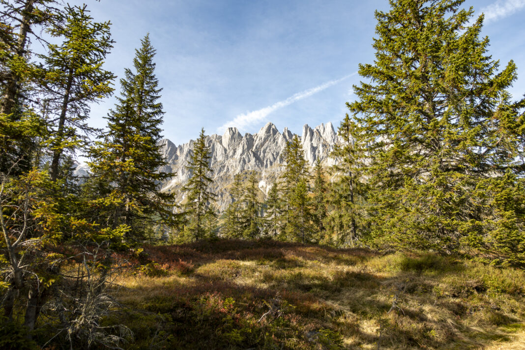 Erste Blicke auf den Hochkönig