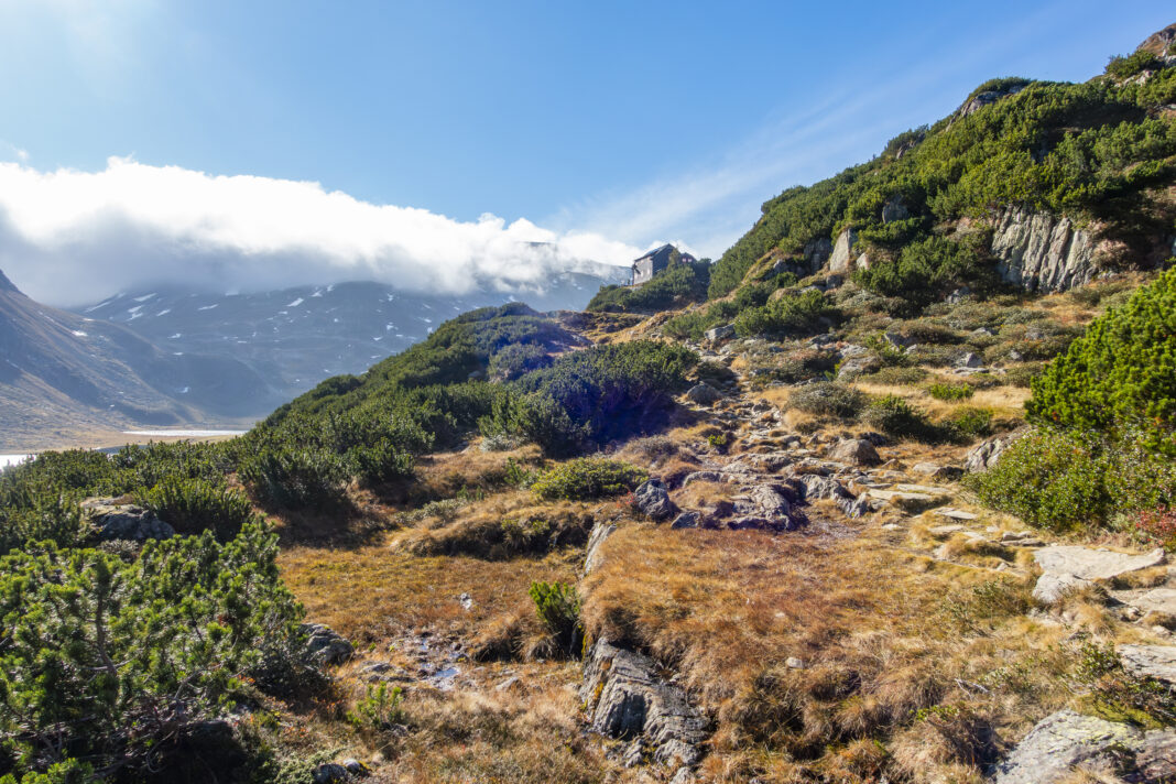 Der Wandersteig hoch zur Ignaz-Mattis-Hütte