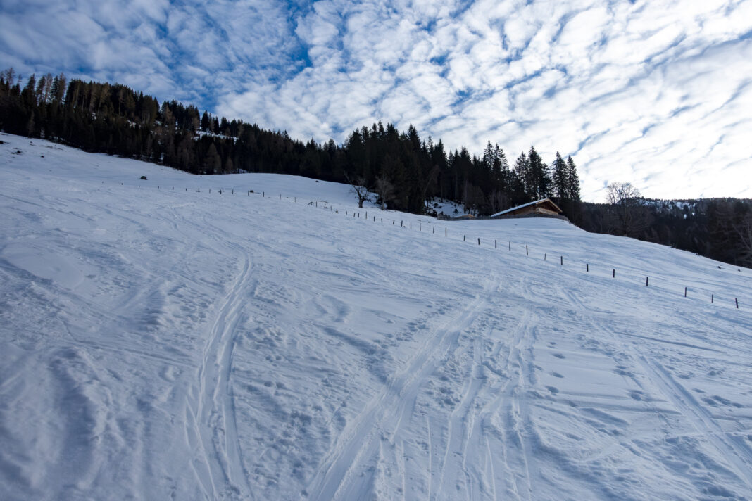 Die Hänge rund um die Breitenebenalm