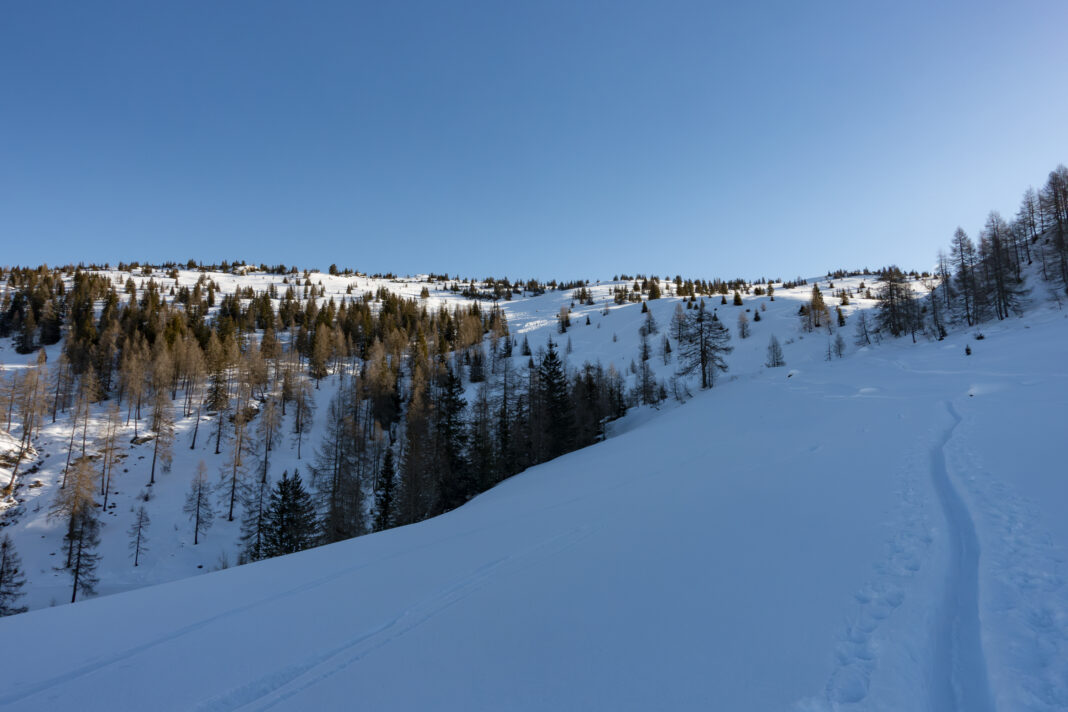 Blick auf die Hänge des Penkkopfs; rechts hinter dem Rücken versteckt sich die erste Steilstufe