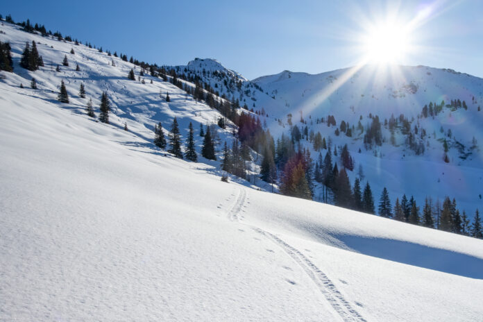 Gründegg Spur zum Gründegg im Winter