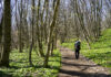 Wanderer am Anninger