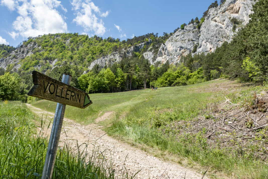 Über die Wiese geht's zum Wandfuß